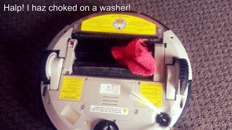 Aviary Photo_130690759444956907