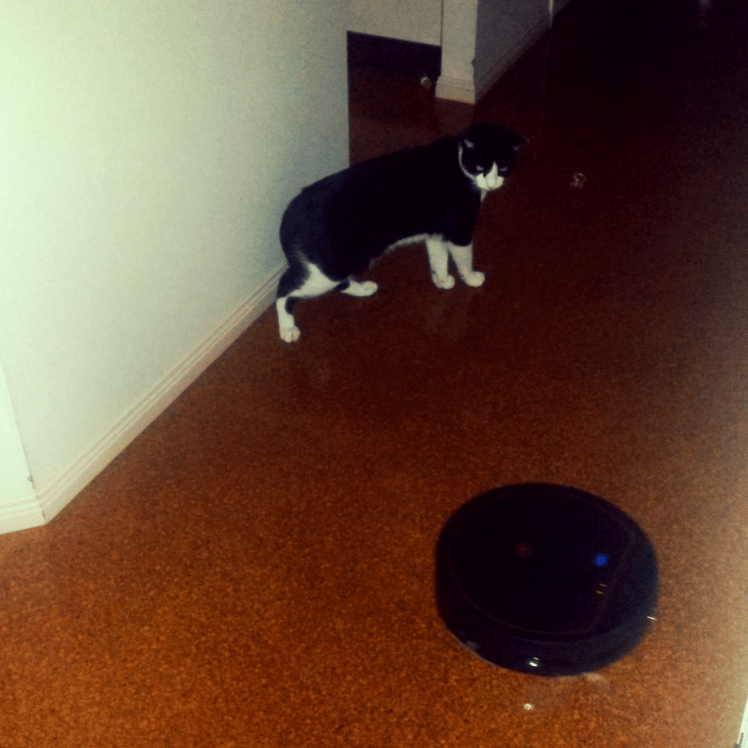 Aviary Photo_130690771442984849